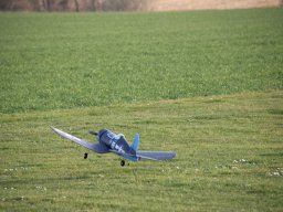 fliegen0803 37